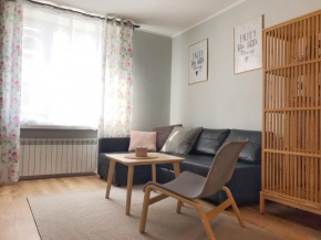 Pastelove mieszkanie przy centrum - bezkontaktowo, Bielsko-Biała